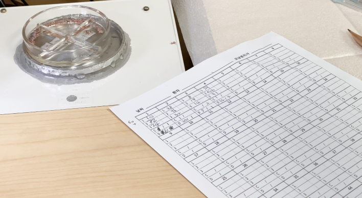 术后检查移植量