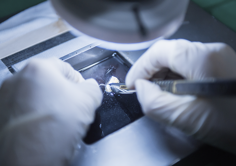 水中分离Aqua Cutting