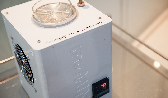 器官保存液的使用和低温的维持